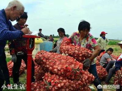 “蒜你狠”变成了“蒜我输”，今年的大蒜是怎么回事？