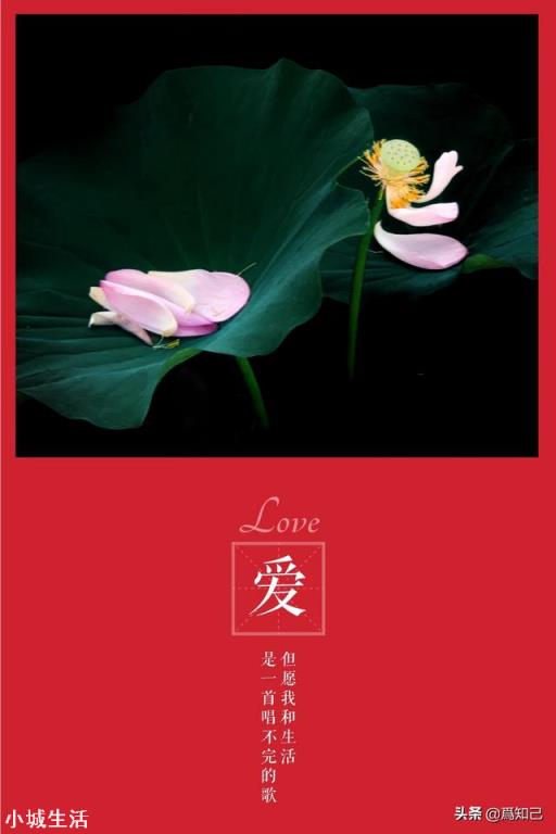 手机摄影有必要用外接镜头吗？对拍摄有哪些作用？