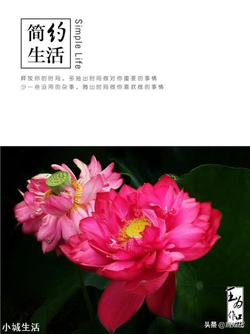 手机摄影有必要用外接镜头吗？对拍摄有哪些作用？