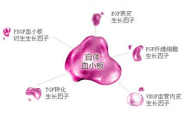 精致女人从这开始 军科整形刘月更院长靠不靠谱