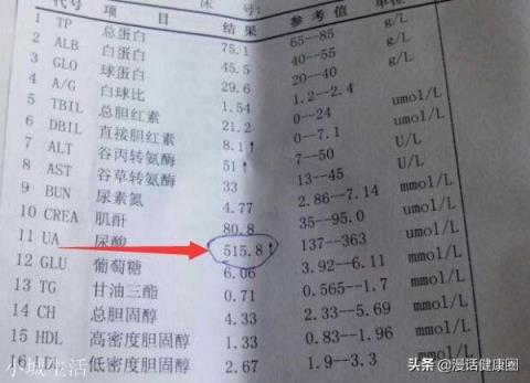 尿酸高的人，吃些什么比较好？