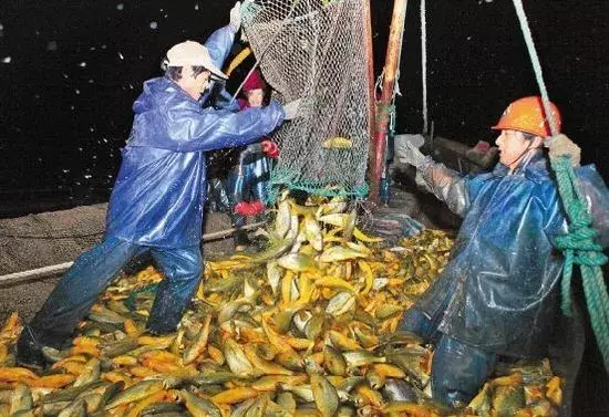 舟山渔场在哪「精华」