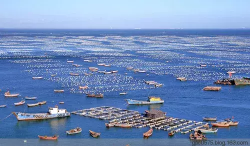 舟山渔场在哪「精华」