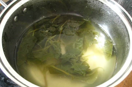 魚星草葉煮水喝的功效