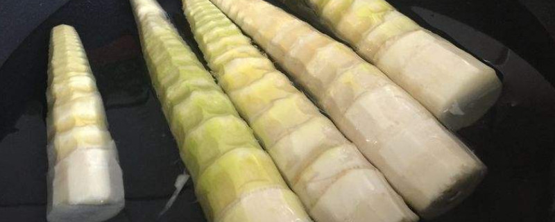 新鮮的春筍可以需要過水嗎
