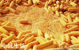 俄罗斯限制粮食出口,玉米的1.5元时代还有多久?