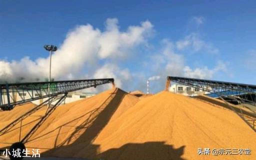 俄罗斯限制粮食出口,玉米的1.5元时代还有多久?