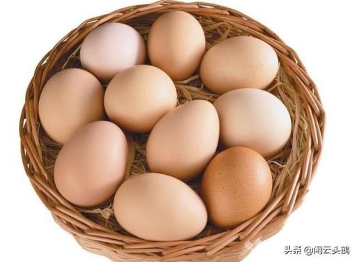 为什么都提倡吃鸡蛋，而不是鸭蛋？鸭蛋难道真的比鸡蛋差很多吗？