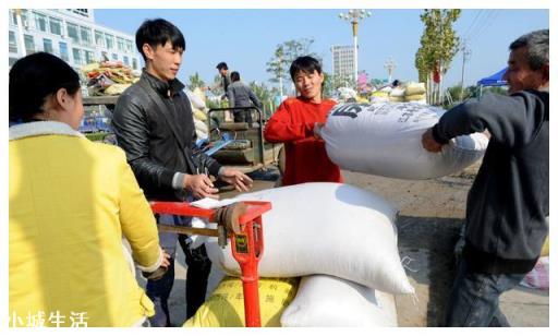 是不是今年农民伯伯的玉米可以卖高价钱？