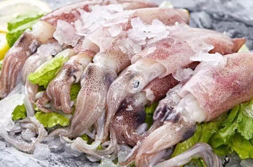 發黑的魷魚是不是不新鮮？活魷魚怎么保鮮？