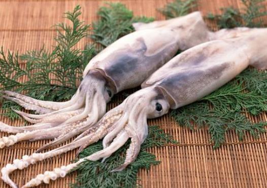 發黑的魷魚是不是不新鮮？活魷魚怎么保鮮？