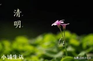 清明节将至，农村人今年还能扫墓祭祖吗？