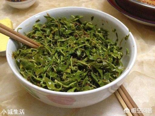 柳树芽采后怎么处理和保存？