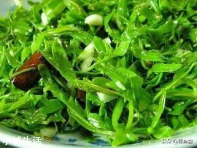 柳树芽采后怎么处理和保存？