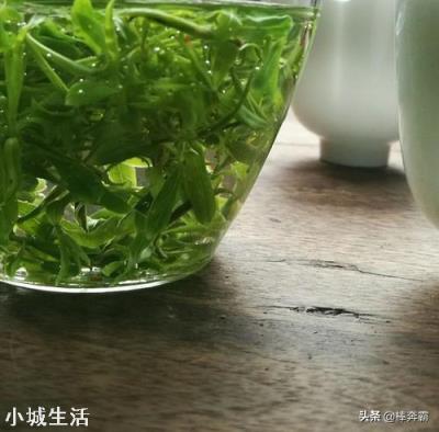 柳树芽采后怎么处理和保存？