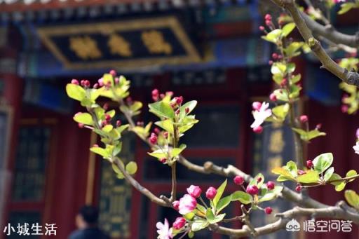 清明节是否还放假呢?