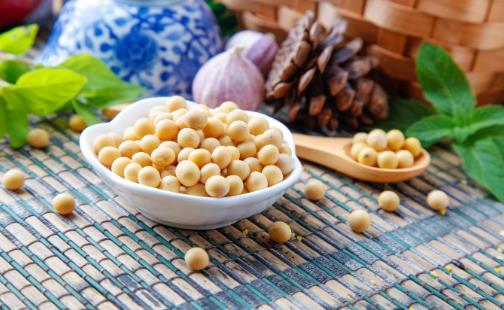 中医教你养肝护肝:日常做好四点+水飞蓟