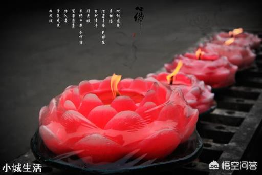 有人说摄影不需要任何天赋,真的是这样吗?