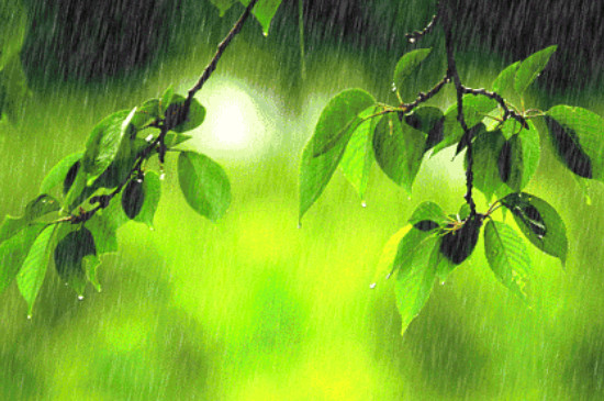 梅雨季节指的是几月