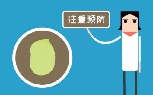 蚕豆病是什么?患蚕豆病有哪些症状?