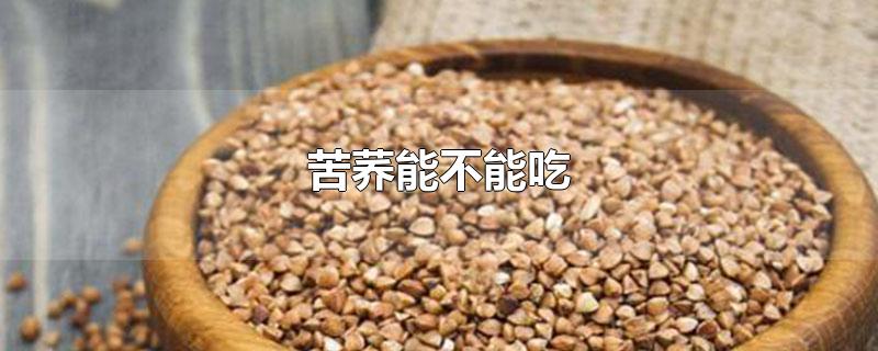 苦荞能不能吃_苦荞怎么吃