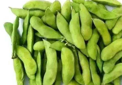 毛豆和番茄能一起吃吗 和豆腐能一起吃吗