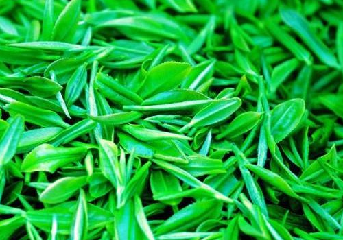 贵定云雾茶是什么茶 泡法是怎样的