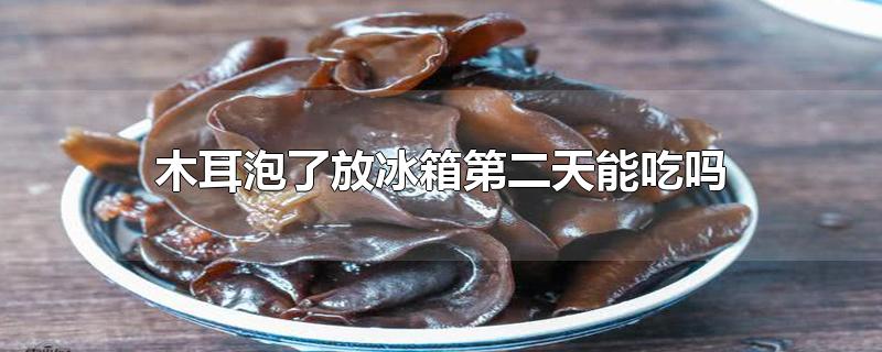木耳泡了放冰箱第二天能吃吗_木耳泡了放冰箱第二天能吃吗
