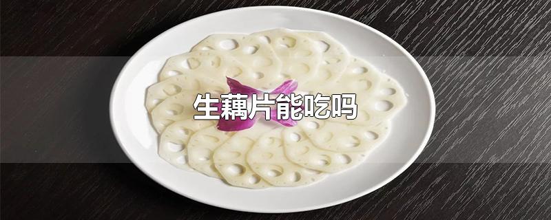 生藕片能吃吗_生藕片能吃吗