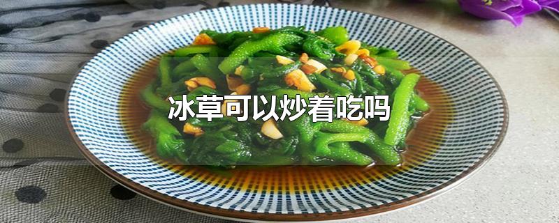 冰草可以炒着吃吗_冰草可以炒着吃吗