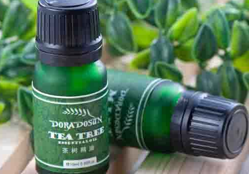 茶树精油哪个牌子好 可以涂伤口吗
