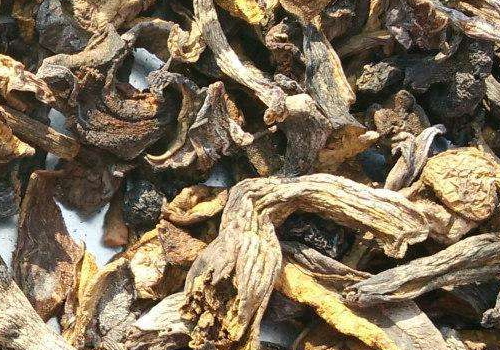 松蘑怎么做好吃 和松茸的区别