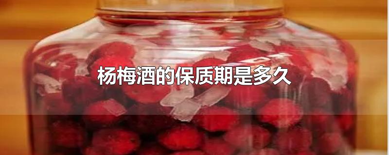 杨梅酒的保质期是多久_杨梅酒的保质期是多久
