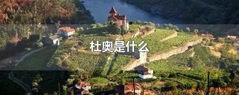 杜奥是什么_杜奥是什么