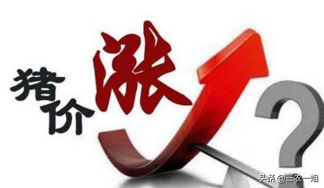 2020年下半年猪价有回升的可能吗？