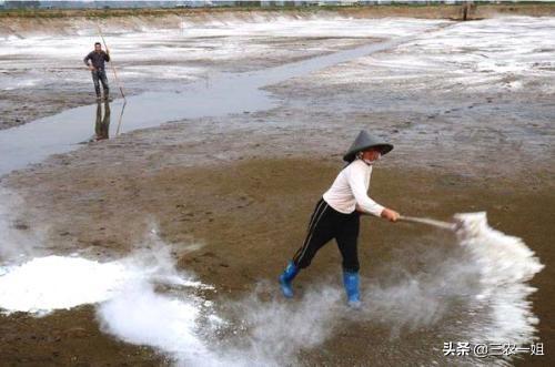 大家好，今天見到有農(nóng)民把石灰粉撤在秋花生上，這里面有什么道理嗎？