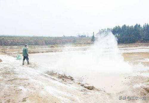 大家好，今天見到有農(nóng)民把石灰粉撤在秋花生上，這里面有什么道理嗎？