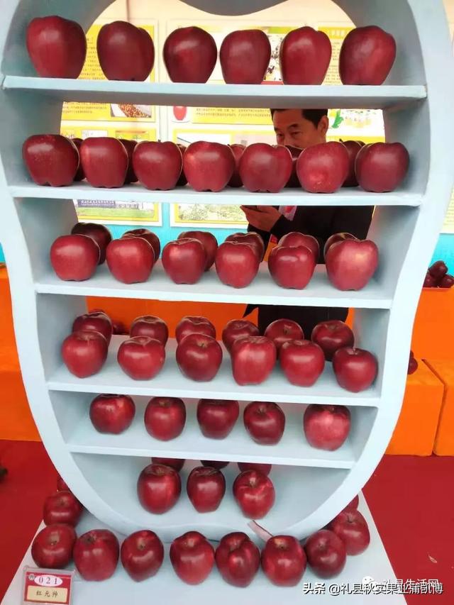 今年新蘋果價格會不會比去年蘋果價格下降？