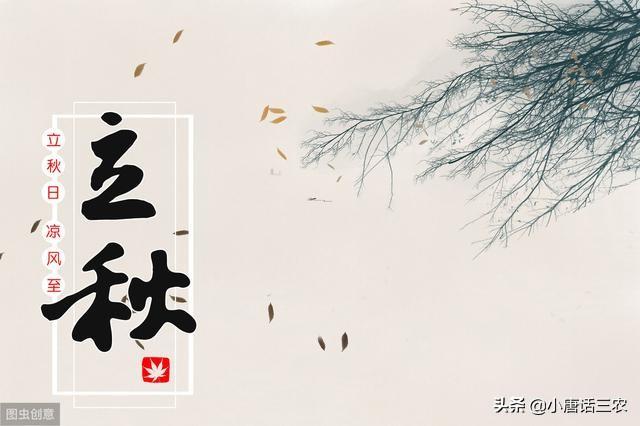 农村俗语“立秋无雨秋干热，立秋有雨秋落落”有道理吗？