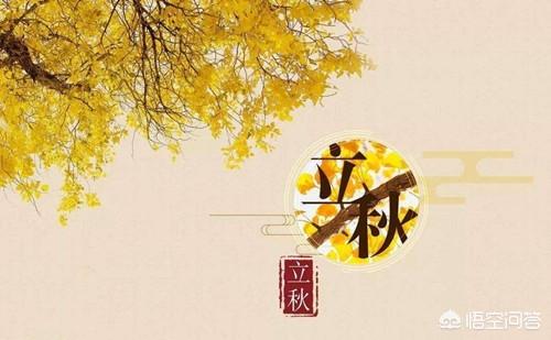 立秋到了,今天很多地方都下雨了,立秋下雨对农业有什么影响吗?