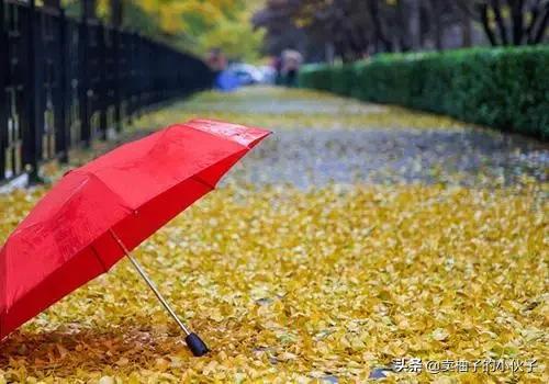 立秋到了,今天很多地方都下雨了,立秋下雨对农业有什么影响吗?