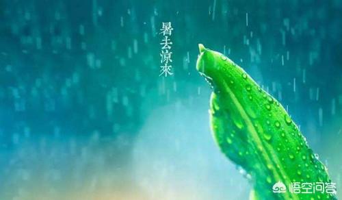 立秋到了,今天很多地方都下雨了,立秋下雨对农业有什么影响吗?