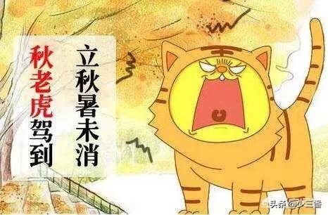 今年是农历七月初八立秋，但老话说“七月立秋，万物不收”意味着什么？
