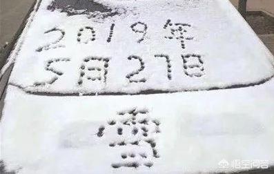 甘肃突降大雪，怎么防治苹果幼果受到冻害？