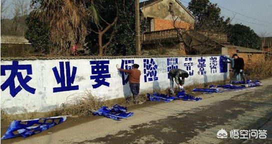 甘肃突降大雪，怎么防治苹果幼果受到冻害？