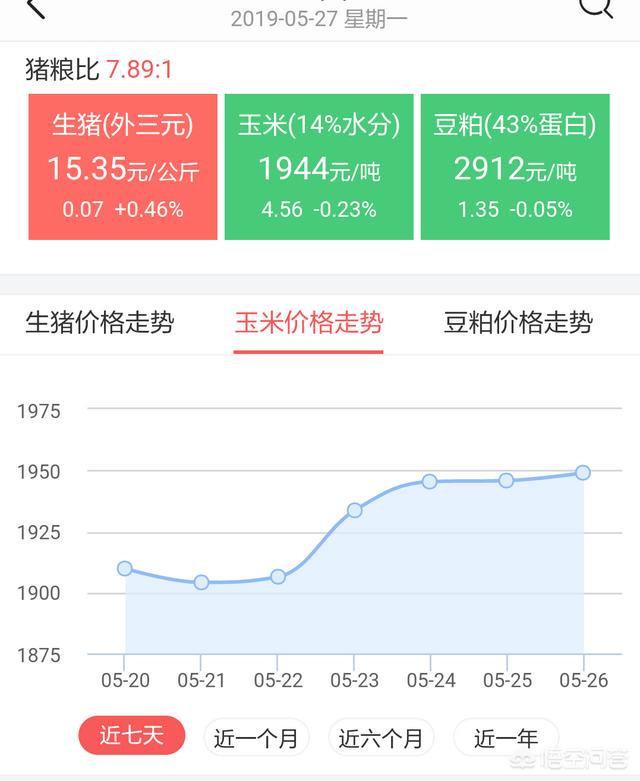 6月玉米价格进入“加速期”，价格高位要来了吗？未来的行情怎么样？