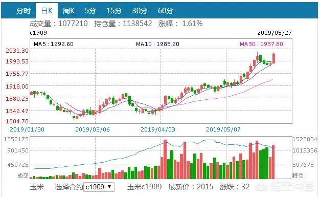 6月玉米价格进入“加速期”，价格高位要来了吗？未来的行情怎么样？