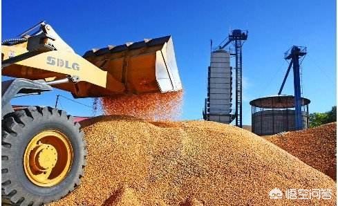 6月玉米价格进入“加速期”，价格高位要来了吗？未来的行情怎么样？