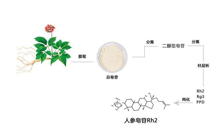 “羊头下的狗肉!”人参皂苷Rg3和Rh2的骗局何时休?