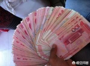 2019年养牛的前景如何？
